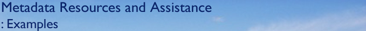 Metadata Assistance