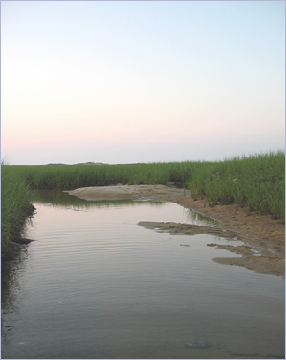 Cape Cod Sunset
